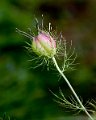 185 foto MVervoorn IMG_5380